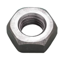Hexagonal Nuts